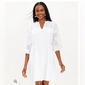 Petite Dotted Lace Trim Flounce Swing Dress